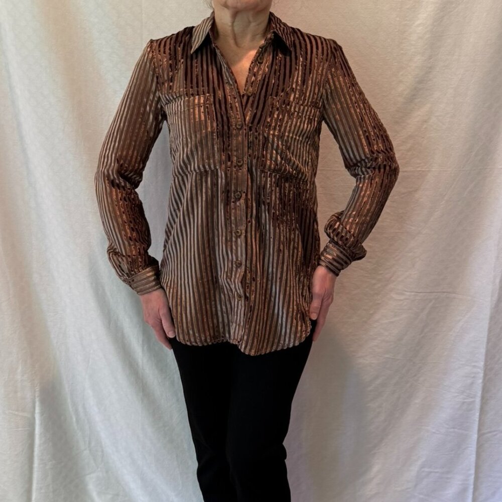NWT Pilcro Button Down Long Sleeve